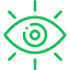 Vision
